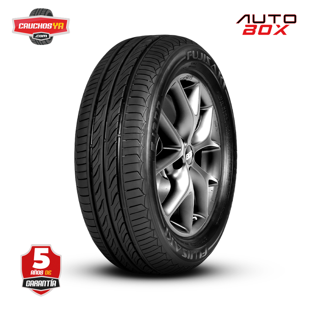185/60R14 FJ300 FUJISAKI