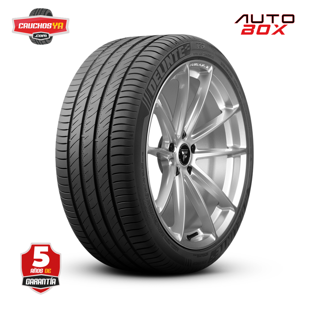 205/55ZR16 94W DS2 DELINTE