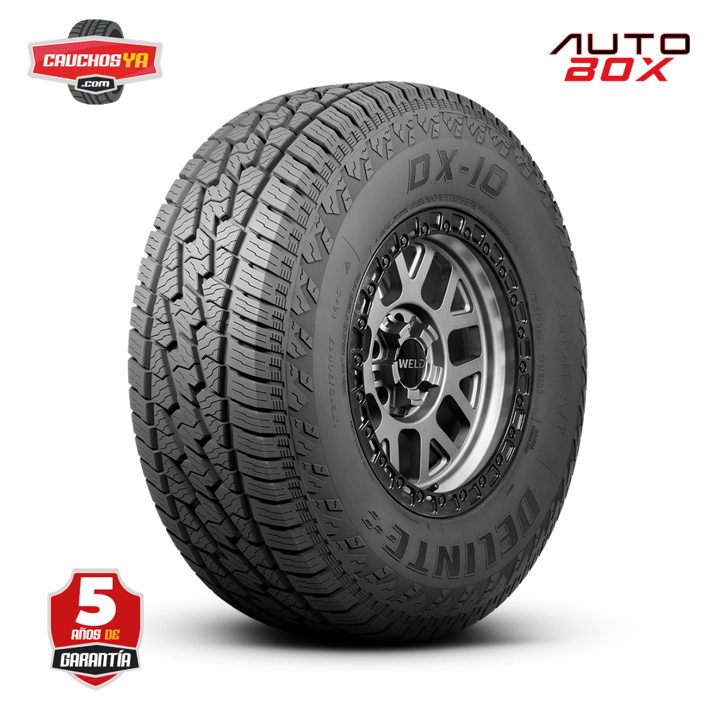 LT235/80R17 10PR DX-10 120/117S DELINTE